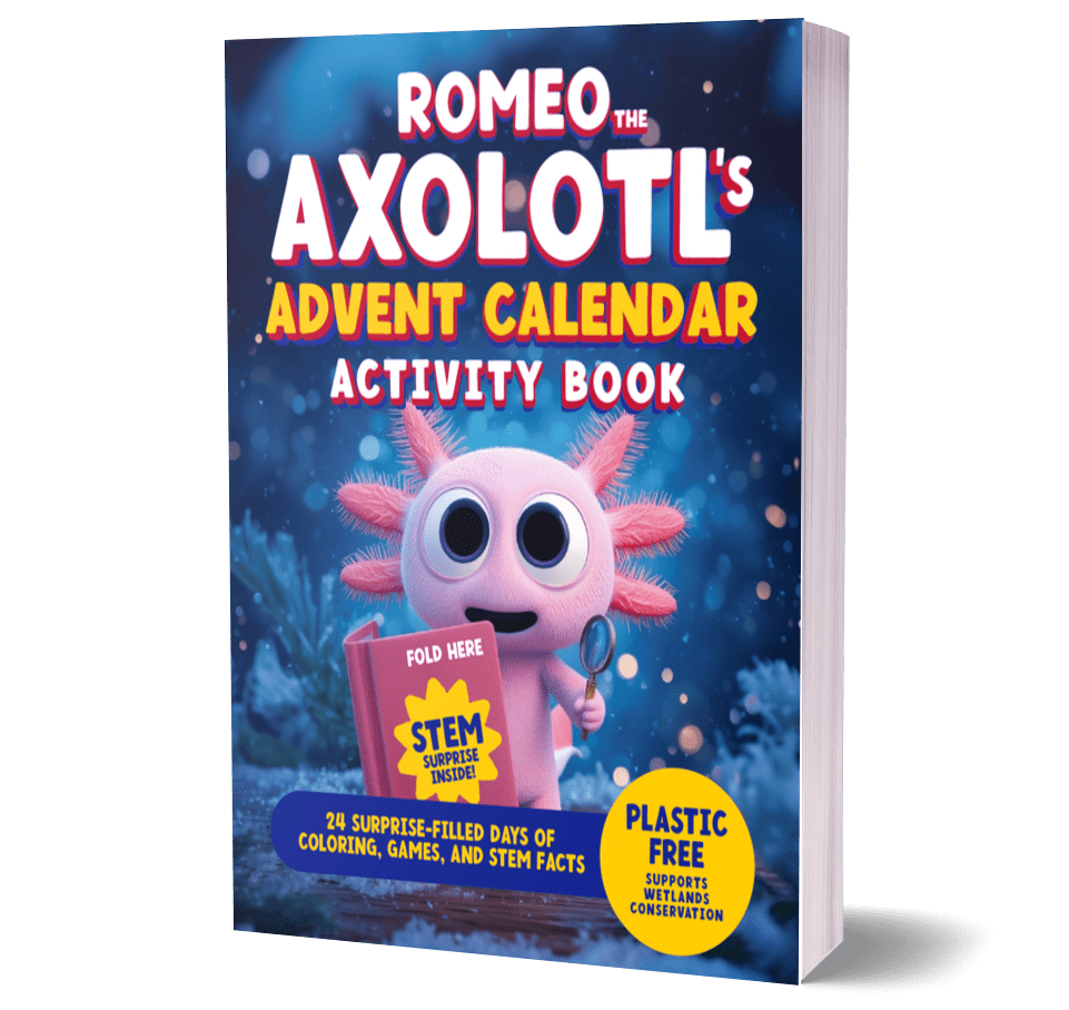 Activity Book Romeo The Axolotl
